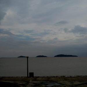 三级片毛片毛片毛片毛片毛片毛片毛片毛片毛片毛片毛骗
